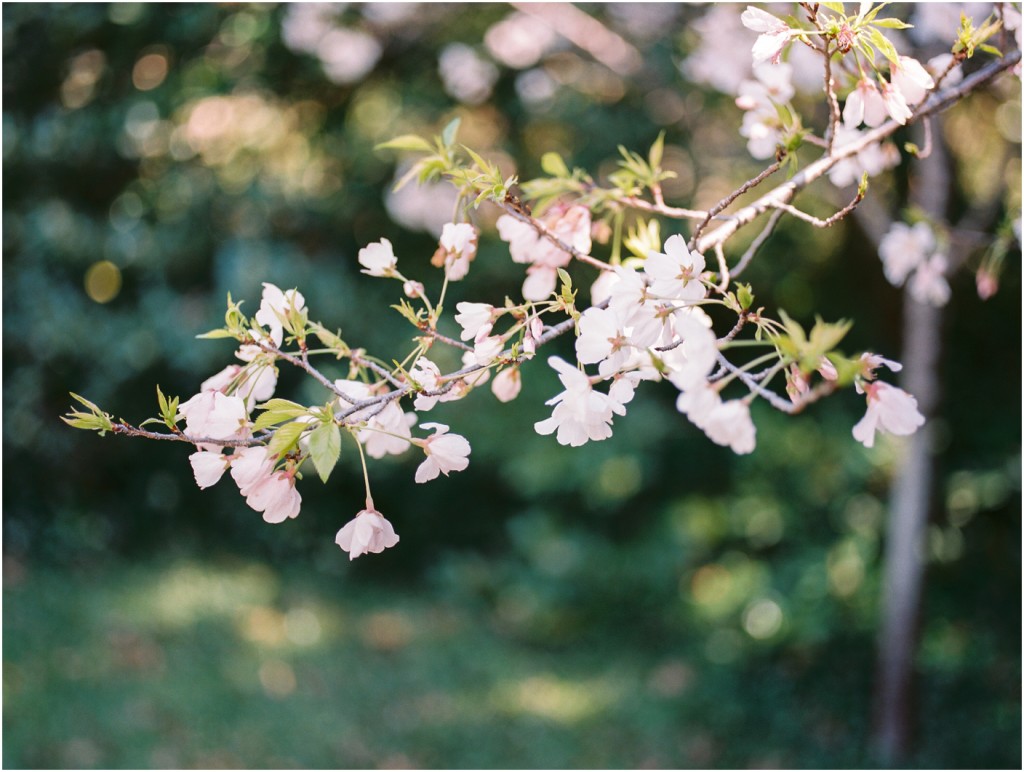 japanese-botanical-garden-fort-worth-dallas-wedding-photographer-www.katepease.com_0008