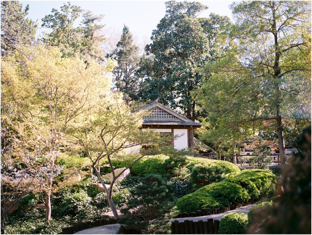 japanese-botanical-garden-fort-worth-dallas-wedding-photographer-www.katepease.com_0019