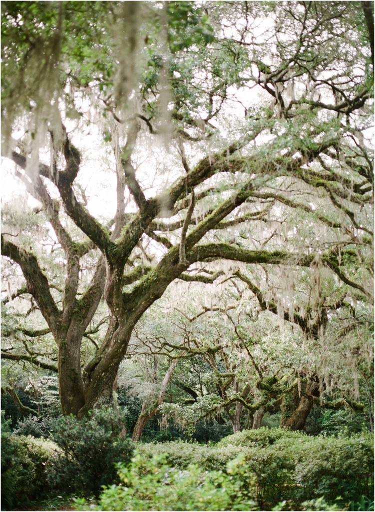 florida-family-photographer-eden-garden-state-park-www-katepease-com_0002