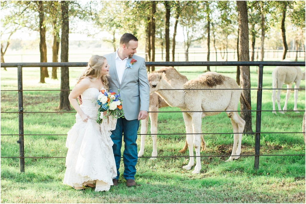 classic-oaks-ranch-wedding-photo-dallas-photography-www-katepease-com_0013